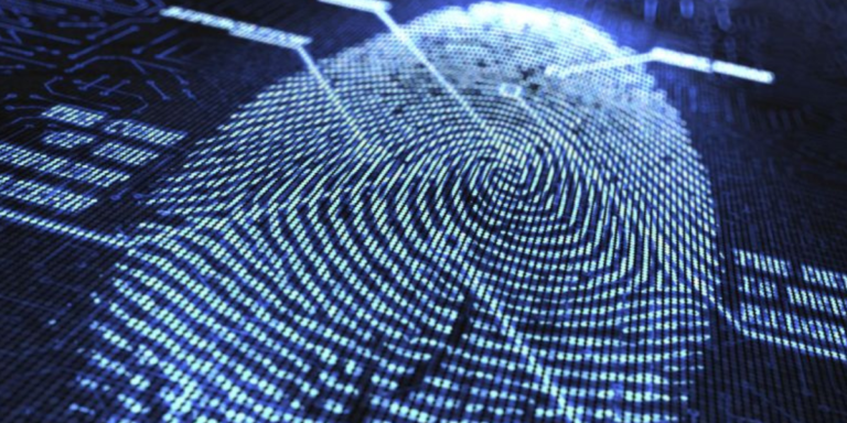 Consorcio Global de Ciberseguridad y Alianza Web Despliegan un Nuevo Protocolo de Filtrado.